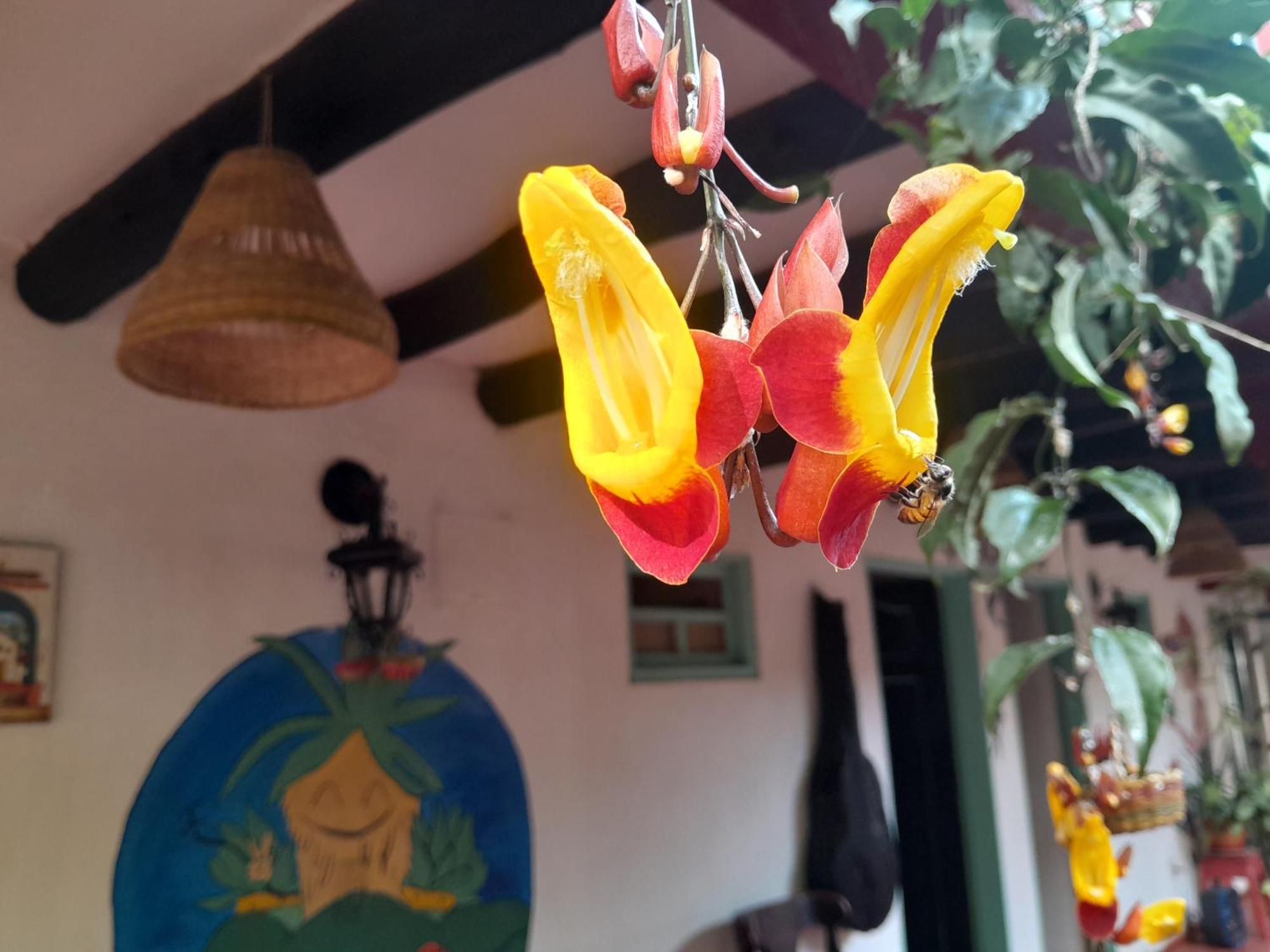 Beija Flor Hostel Вилья-де-Лейва Экстерьер фото